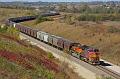 BNSF Grain Train at Firth, NE